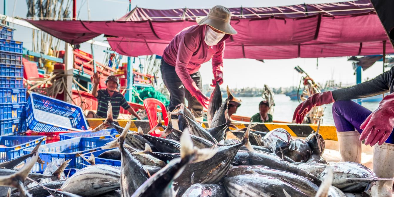 A fisherwoman at work in the Mekong Delta. Credit: Oxfam Vietnam A fisherwoman at work in the Mekong Delta. Credit: Oxfam Vietnam